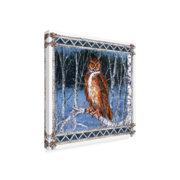 Sher Sester 'Birch Background Owl Frame' Canvas Art,18x18